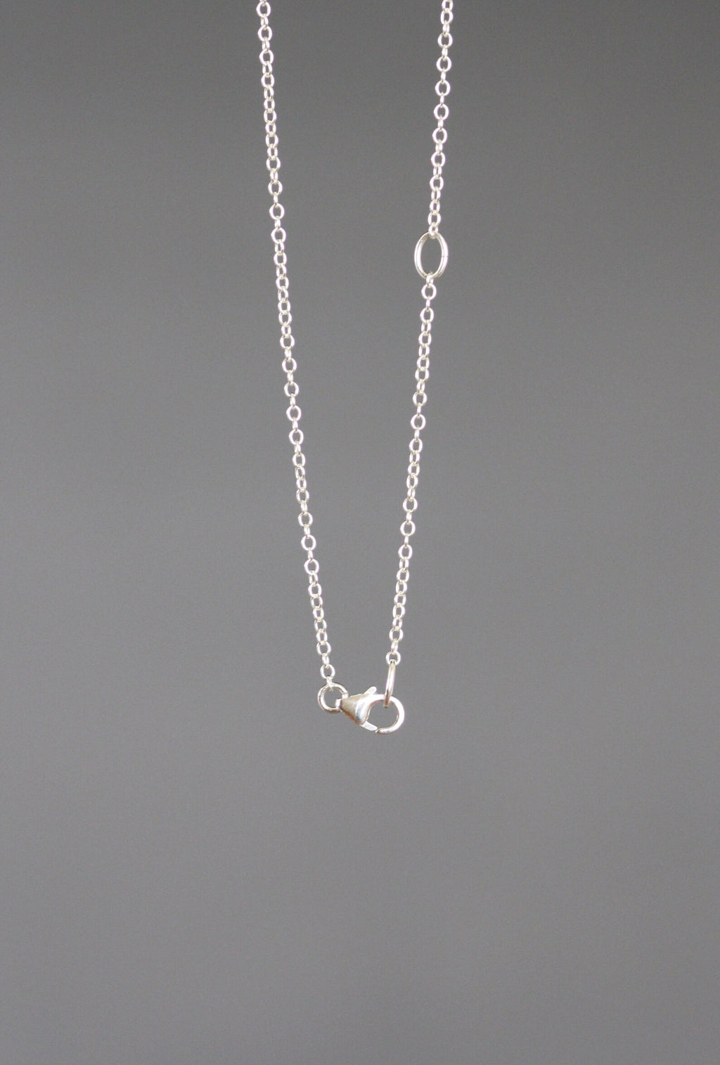 Sterling silver chain necklace with butterfly charm pendant and round clasp ring