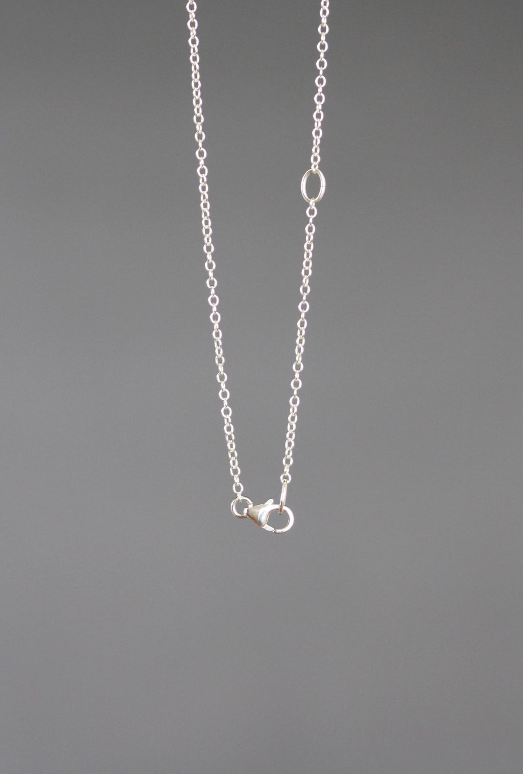 Sterling silver fine chain necklace with clasp and end loop, no pendant visible.