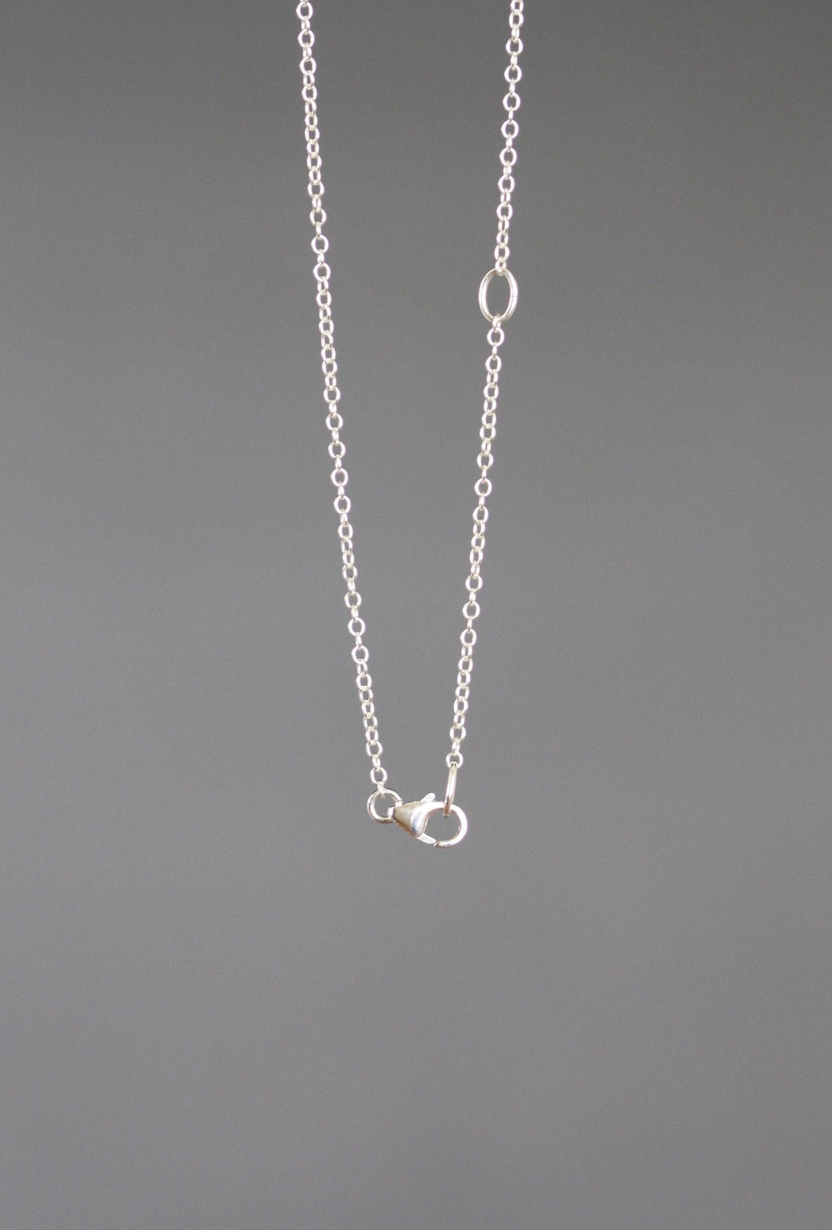 Sterling silver necklace with heart charm and round clasp on fine chain