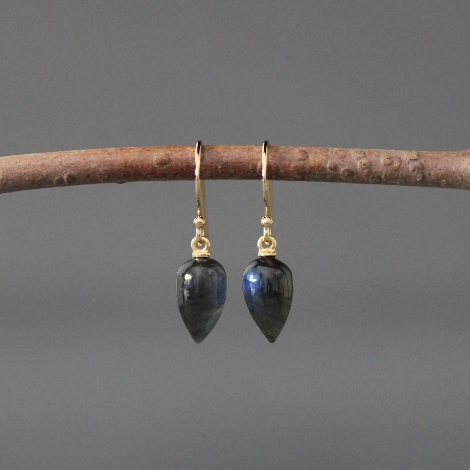 Pair of black teardrop earrings with gold hooks on a branch against a gray background