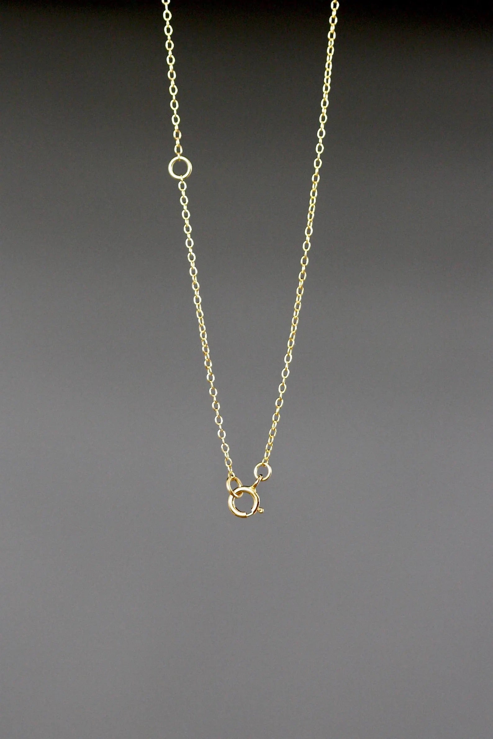 Gold necklace with a small pendant on a dark gray background