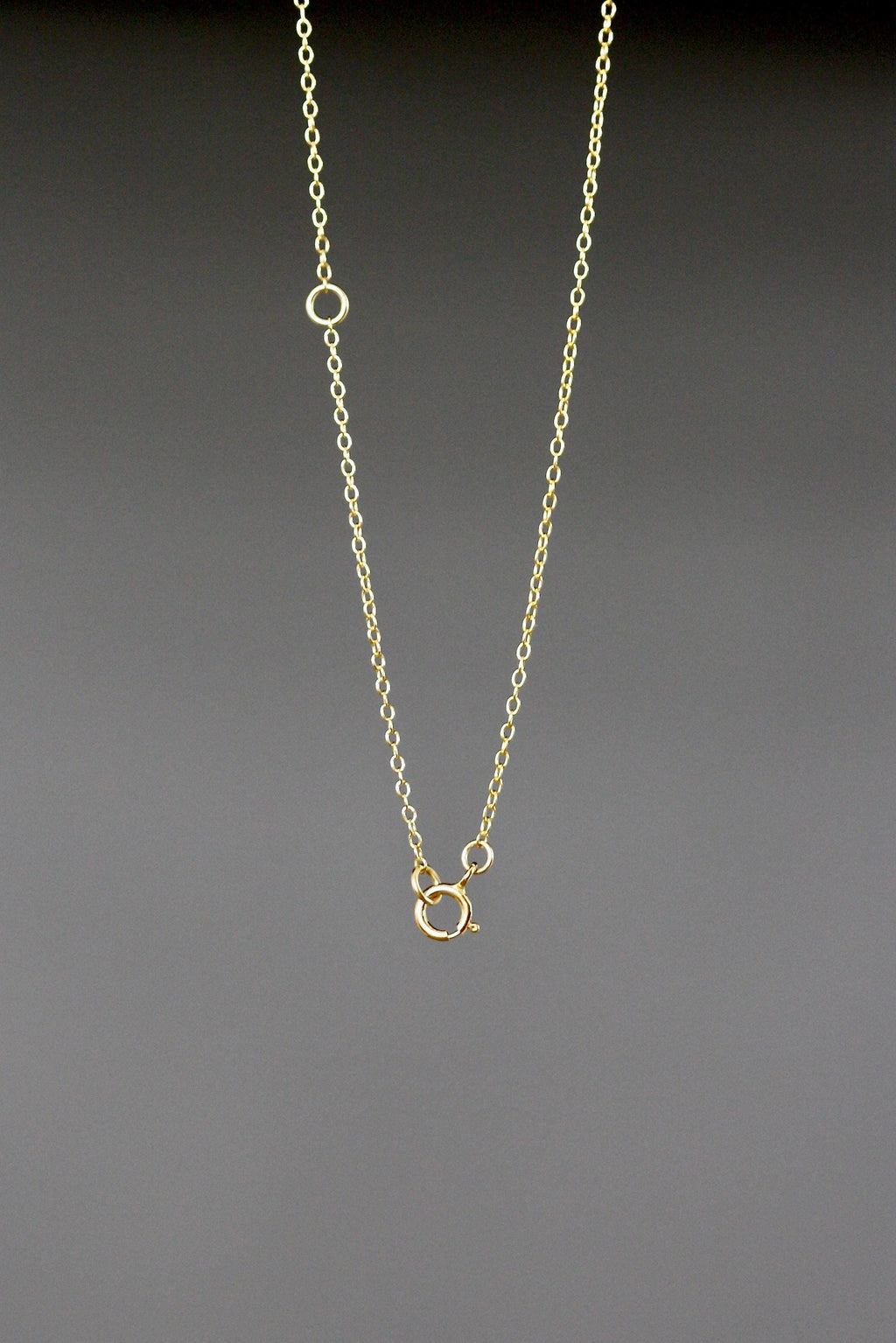 Hammered Gold Vermeil Circle Pendant Necklace